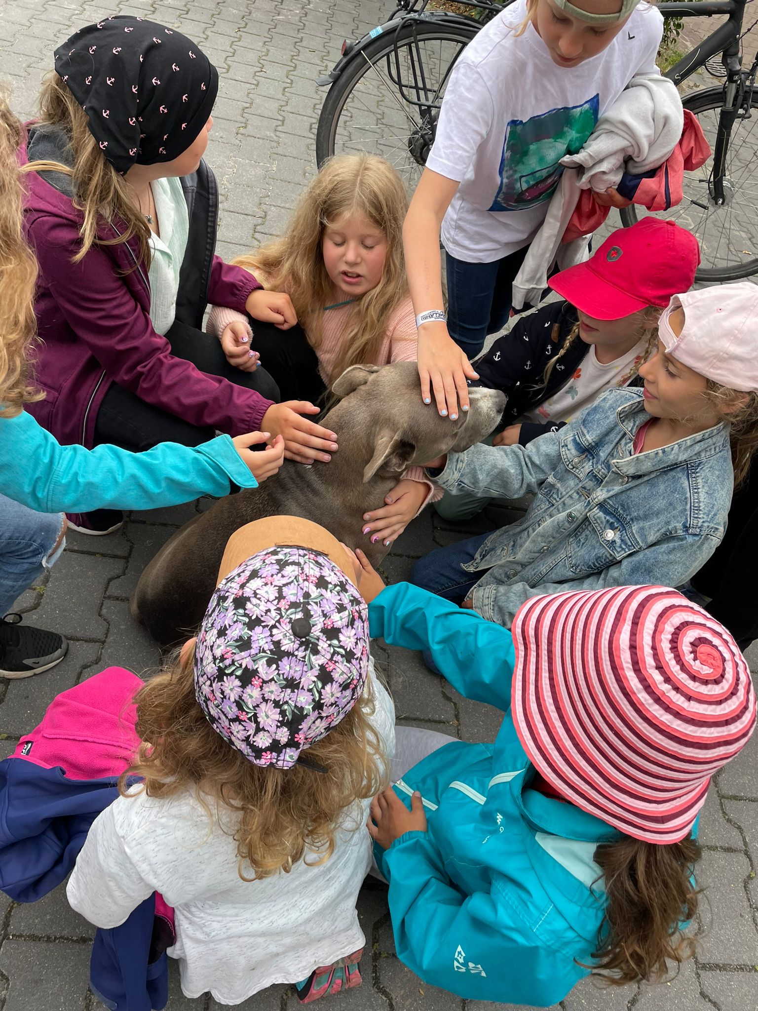 3WhatsApp_Image_2022-07-23_at_00.09.324 3WhatsApp_Image_2022-07-23_at_00.09.324