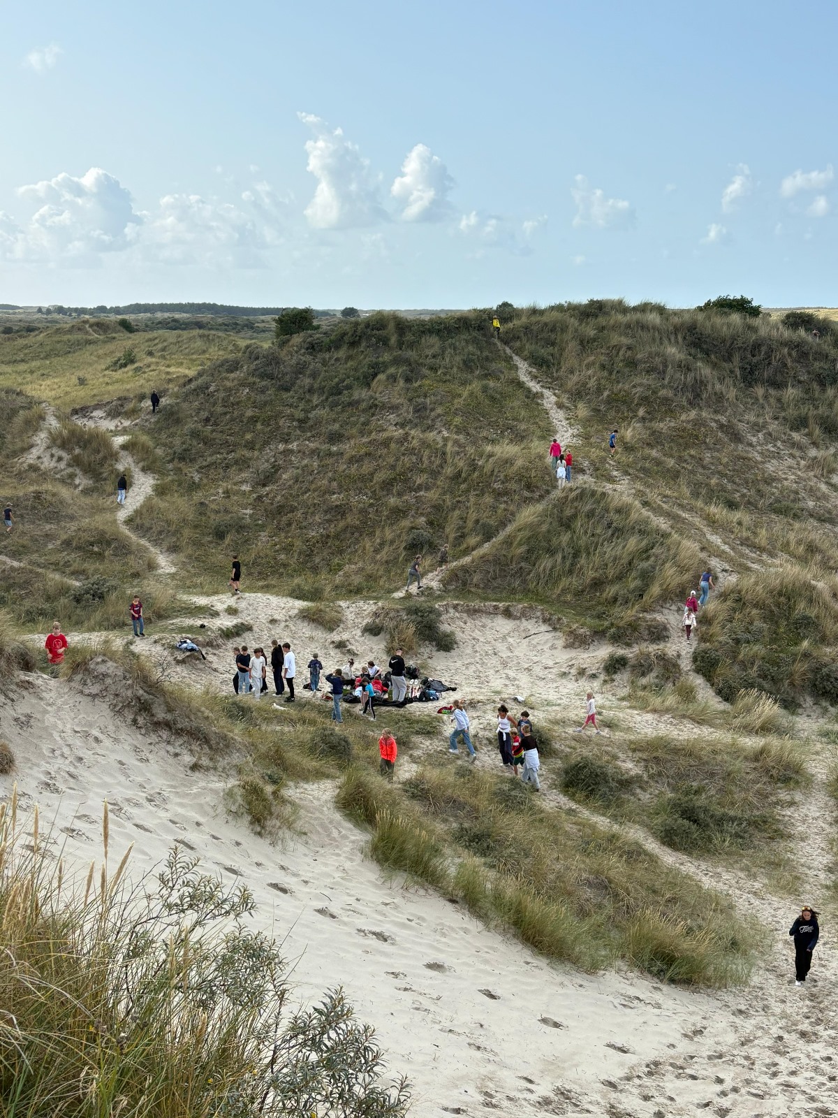 IMG-20250807-WA0019 IMG-20250807-WA0019