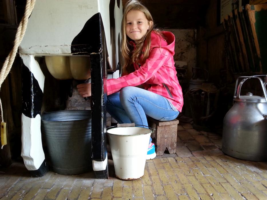 Ferienlager_Ameland_3_Tag_116 Ferienlager_Ameland_3_Tag_116