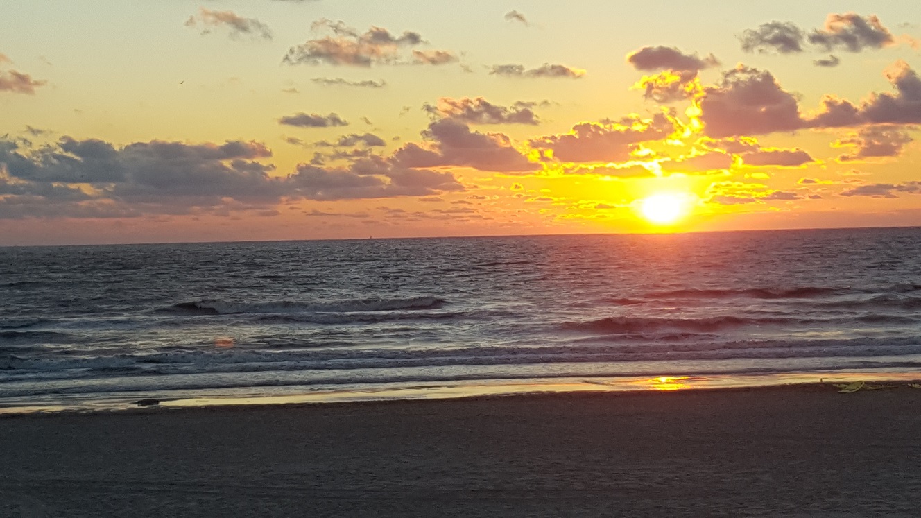 20160801_212800 20160801_212800